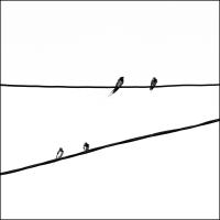 2+2