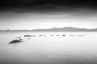 Aegean Rocks