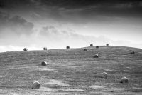 After Harvest