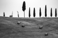 After Harvest