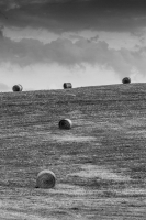 After Harvest