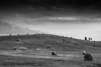 After Harvest