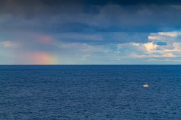 After the Storm