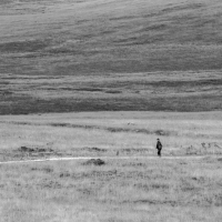 Alone