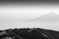 Athos Silhouette