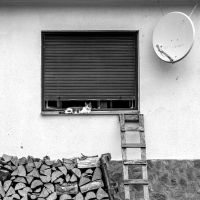 Big Brother