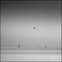 Bird Beacon and Boat