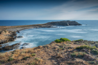 Capo Pecora