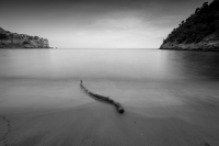 Castaway
