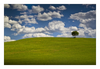 Clouds & Tree