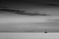 Coming Home