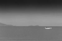 Coming Home