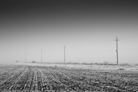 Confrontation