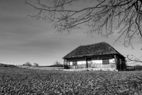 Deserted House