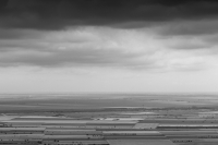Dobrogea