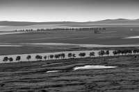 Dobrogea