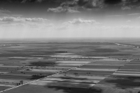 Dobrogea