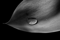 Drops