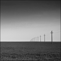 Electricity Poles