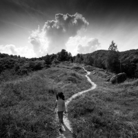The Path