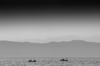 Evening Catch