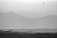 Evening Flight