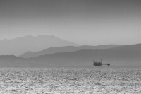 Extraction