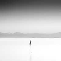 Hellas