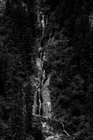 Horses Waterfall