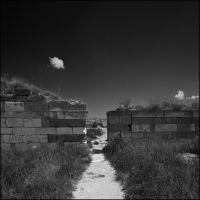 _II_
