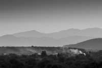 In the Evening