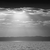 Into theLight