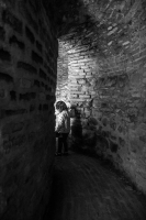 Into the Light