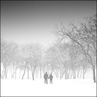 Into the Mist