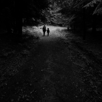 Into the Wild