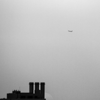 Last Flight