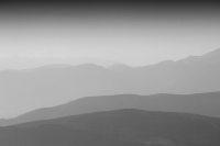 Layers