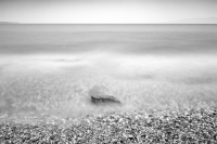 Loneliness