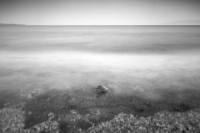 Loneliness