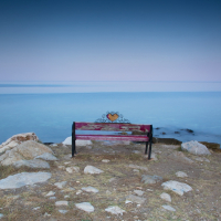 Love Bench