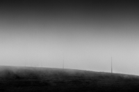 Misty Poles