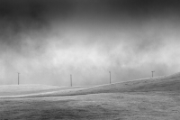Misty Poles