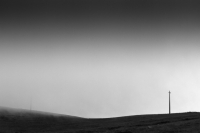 Misty Poles
