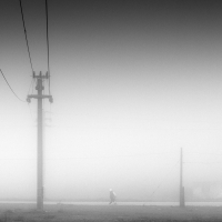 Misty Times
