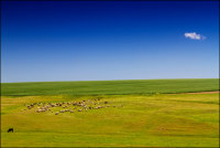Pastoral