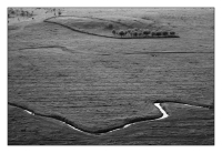 Paths