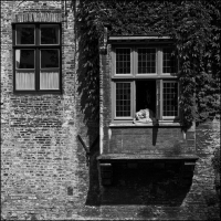 Siesta