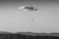 Signals