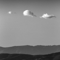 Signals