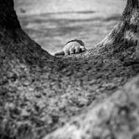 Take My Hand